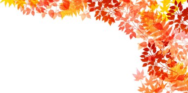 Sonbahar yaprak arka plan sonbahar yaprakları 