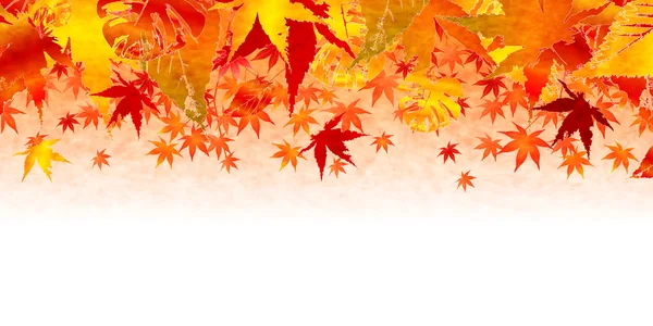 Daun musim gugur jatuh latar belakang daun - Stok Vektor