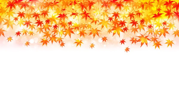 Φθινοπωρινά φύλλα πτώση φύλλων φόντο — Διανυσματικό Αρχείο