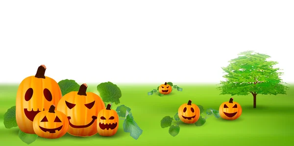 Halloween abóbora outono fundo — Vetor de Stock