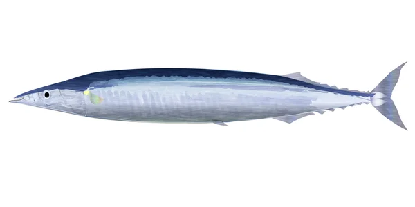 Ícone de outono de peixe saury Pacífico —  Vetores de Stock