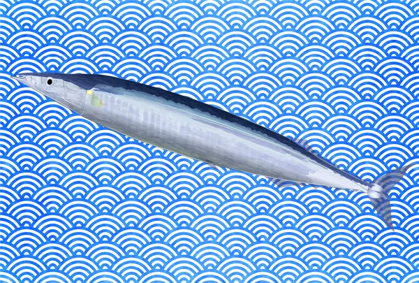 Pacífico saury peixe fundo do mar —  Vetores de Stock