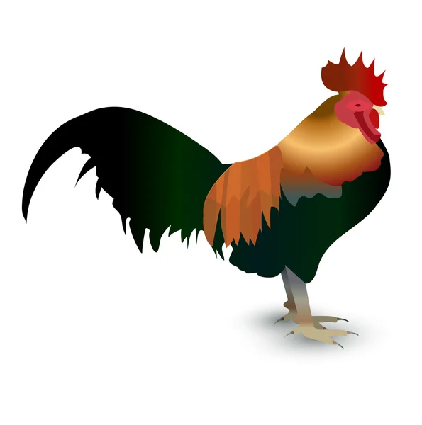 Gallo de pollo icono de la tarjeta de felicitación — Archivo Imágenes Vectoriales