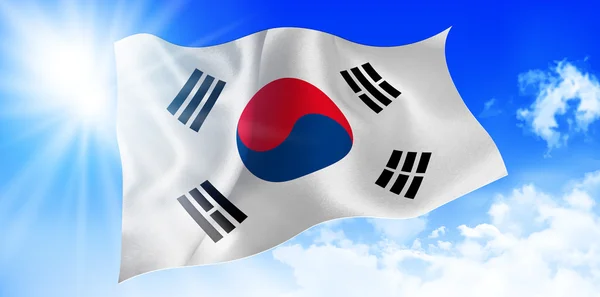 Südkoreas Nationalflagge Himmel Hintergrund — Stockvektor