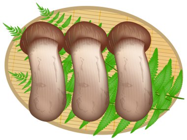 Matsutake mantar sonbahar simgesi