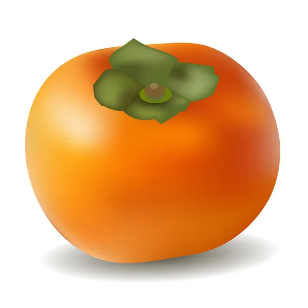 Persimmon fruit autumn icon — Stock Vector