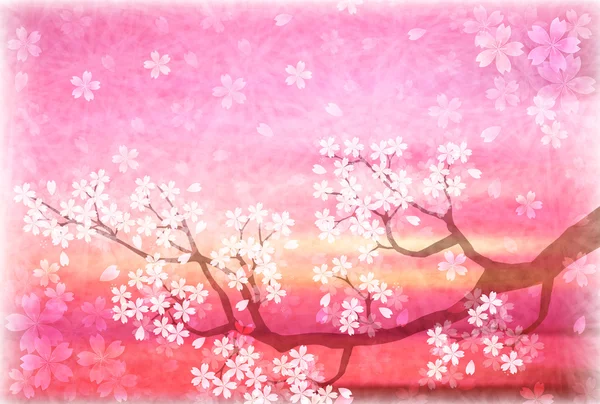 Японська вишня весна папір фону — стоковий вектор