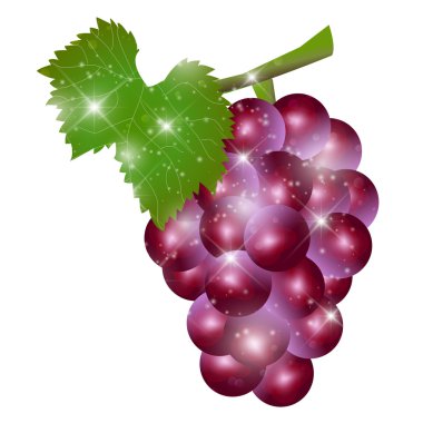 Üzüm meyve sonbahar simgesi