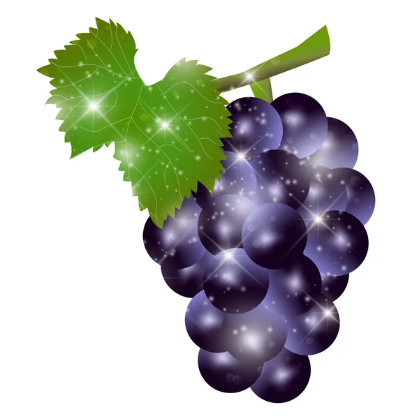 Grape fruit najaar pictogram — Stockvector