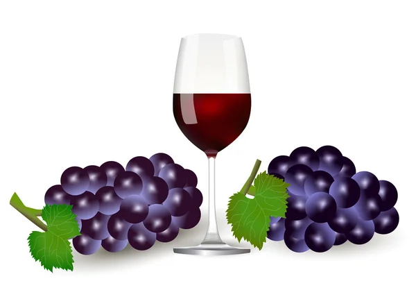 Hroznové víno podzimní pozadí — Stockový vektor