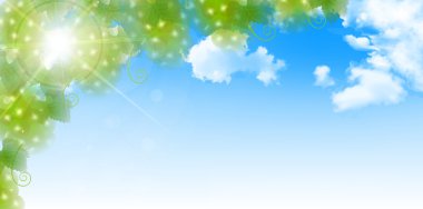 Üzüm meyve sonbahar arka plan