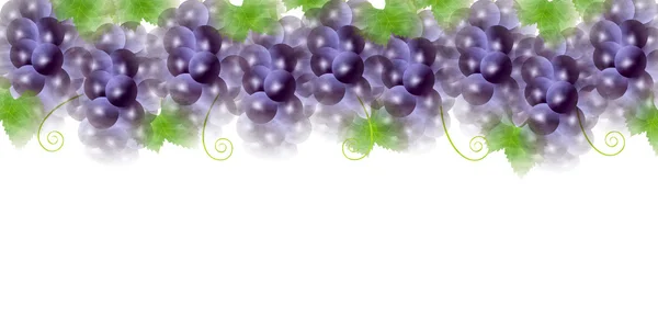 Fondo de otoño de fruta de uva — Archivo Imágenes Vectoriales