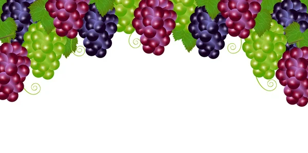 Fruta de uva Outono fundo —  Vetores de Stock