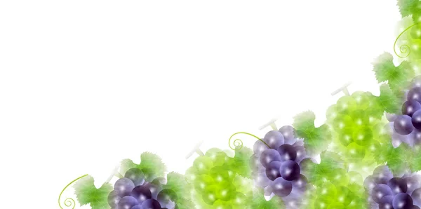 Grapefrukt hösten bakgrund — Stock vektor