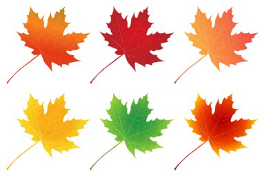 Sonbahar yaprakları sonbaharda akçaağaç simgesi