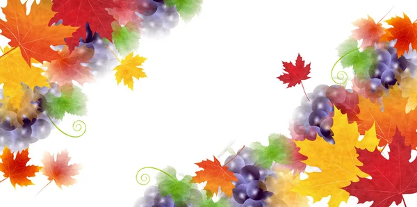 Otoño hojas uvas fondo otoño — Vector de stock