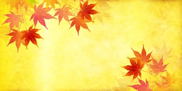 Autumn leaves autumn landscape background — Stock Vector