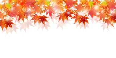 Sonbahar, sonbahar manzarası arka planından ayrılıyor