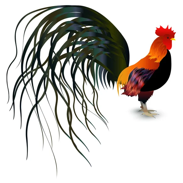 Gallo de pollo icono de la tarjeta de felicitación — Vector de stock