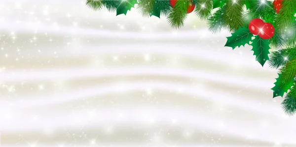 Navidad nieve acebo fondo — Vector de stock