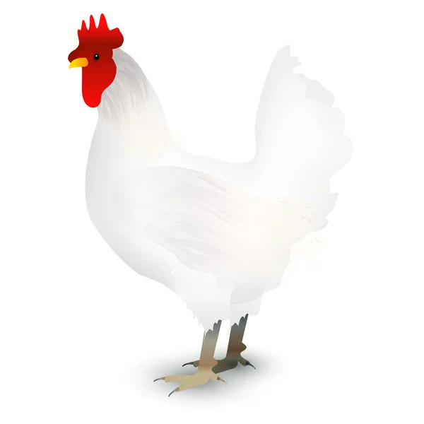 Gallo de pollo icono de la tarjeta de felicitación — Archivo Imágenes Vectoriales