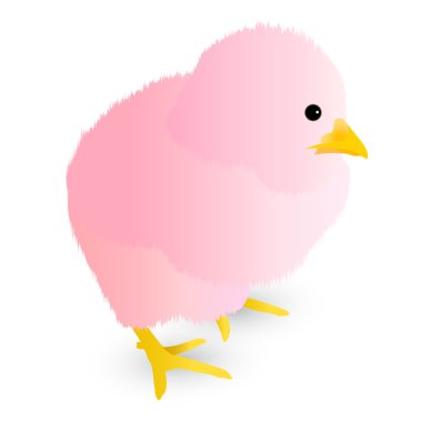 Horoz piliç tebrik kartları simgesi