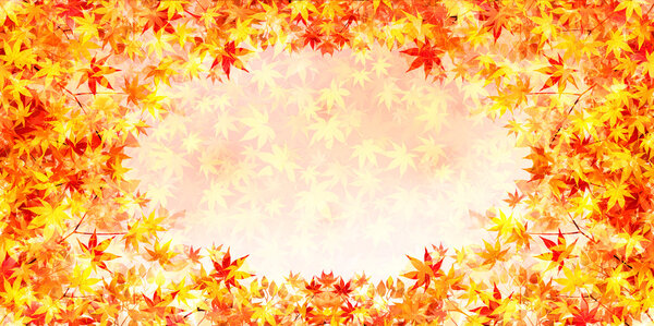 Autumn leaves autumn landscape background