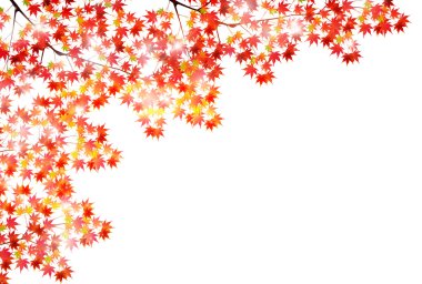 Sonbahar, sonbahar manzarası arka planından ayrılıyor