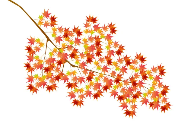 Ikon pohon gugur daun musim gugur - Stok Vektor