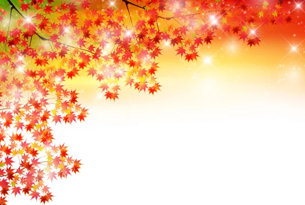 Autumn leaves autumn landscape background