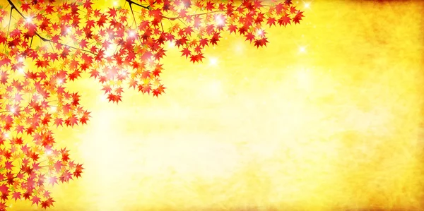 Autumn leaves autumn landscape background