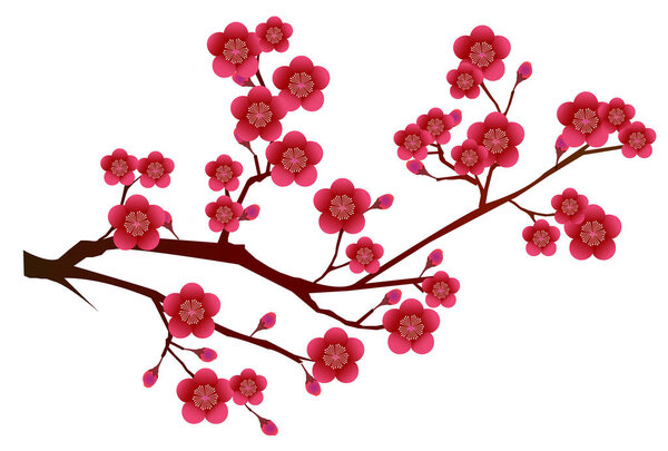 Plum spring flower watercolor icon