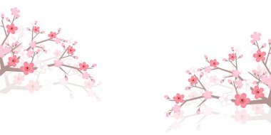 Erik ağacı bahar çiçeği arkaplanı