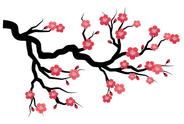 梅の木春の花のアイコン — ストックベクタ