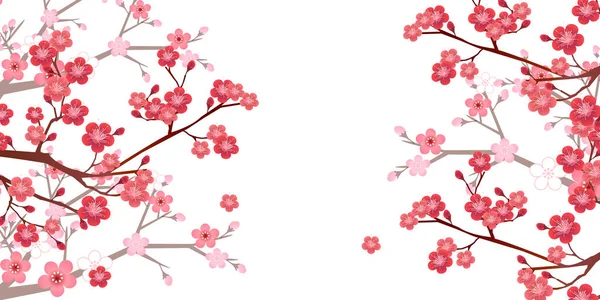 Plum Tree Spring Flower Background — Stock Vector