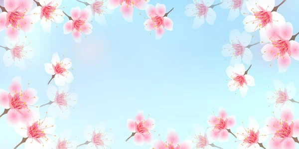 Flores Cerezo Paisaje Primavera Fondo — Vector de stock