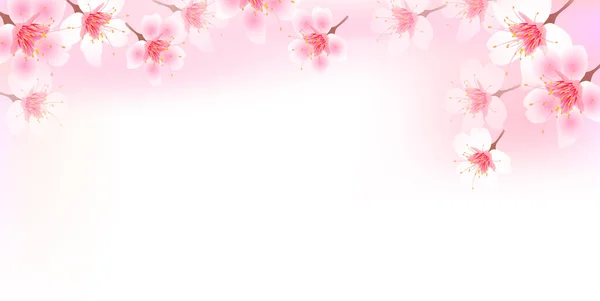 Cherry Blossom Landscape Spring Background — Stock Vector