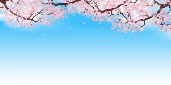 Flores Cerezo Paisaje Primavera Fondo — Vector de stock