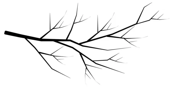 Tree Branch Silhouette Black Icon — Stock Vector