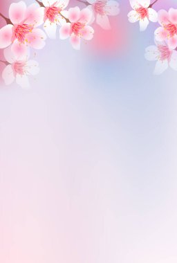 Kiraz çiçekleri bahar arkaplanı