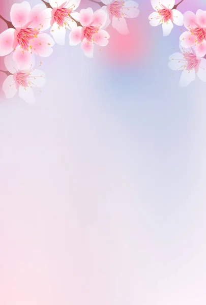 Cherry Blossoms Flower Spring Background — Stock Vector