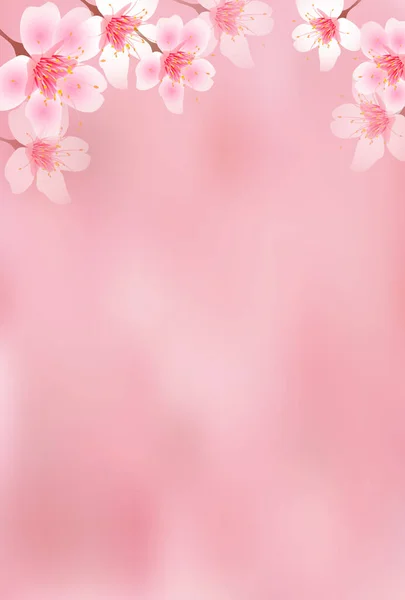 Flores Cerezo Flor Primavera Fondo — Vector de stock