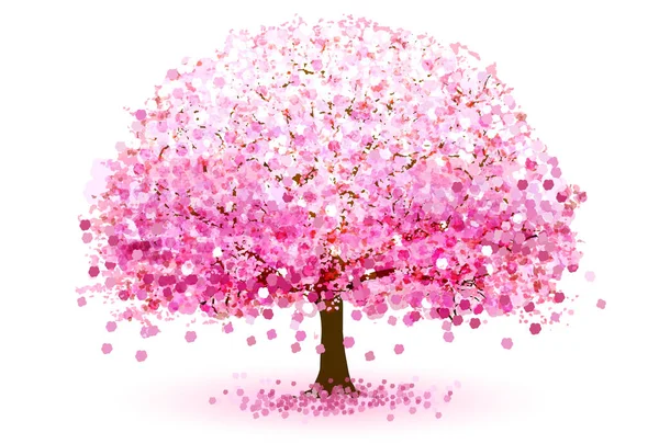 Wiśnia Drzewo Kwiat Wiosna Ikona — Wektor stockowy