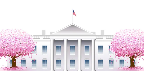 Amerikan Beyaz Saray Kiraz Ağacı Geçmişi — Stok Vektör