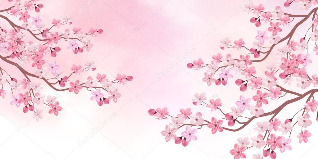 Cherry tree spring flower background