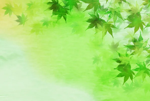 Érable Vert Frais Fond Papier Japonais — Image vectorielle