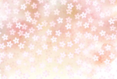 Kiraz ağacı bahar çiçeği arka planı