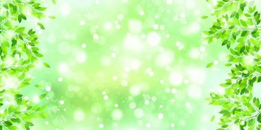 Taze yeşil gökyüzü arkaplanı