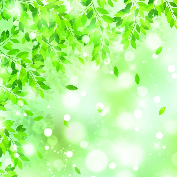 Świeże Zielone Światło Tło Nieba — Wektor stockowy