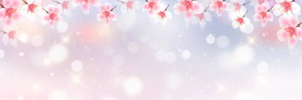 Kirschblüte Frühling Blume Hintergrund Vektorgrafiken